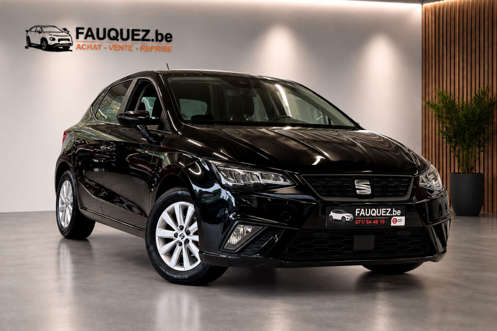 Seat Ibiza | style