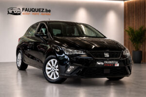 Seat Ibiza | style
