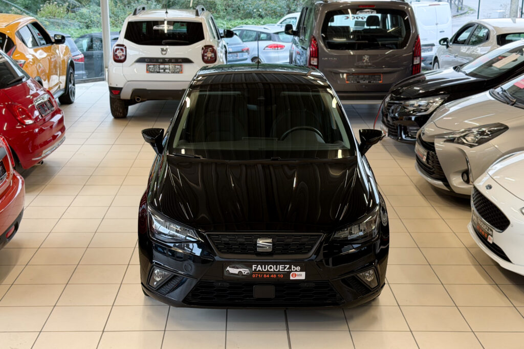 Seat Ibiza | style