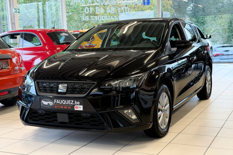 Seat Ibiza | style