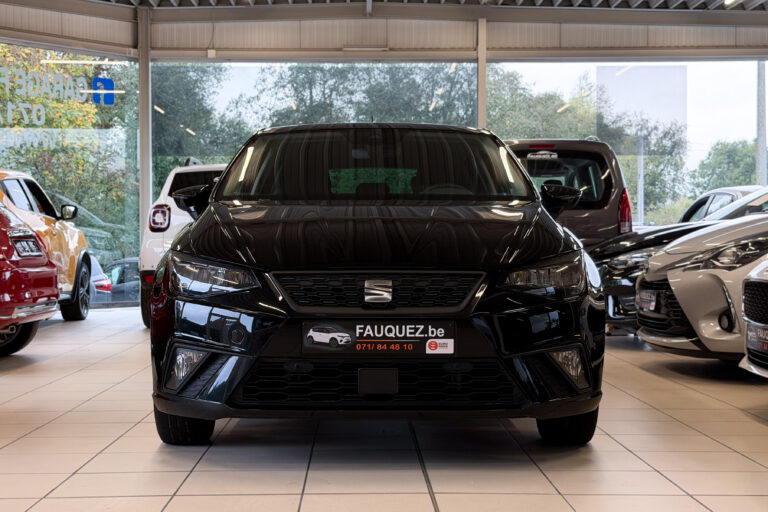 Seat Ibiza | style