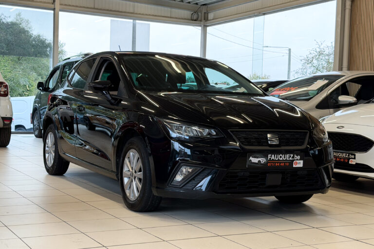 Seat Ibiza | style