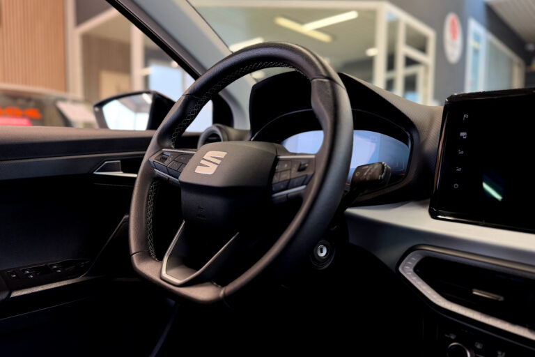Seat Ibiza | style