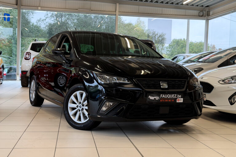 Seat Ibiza | style